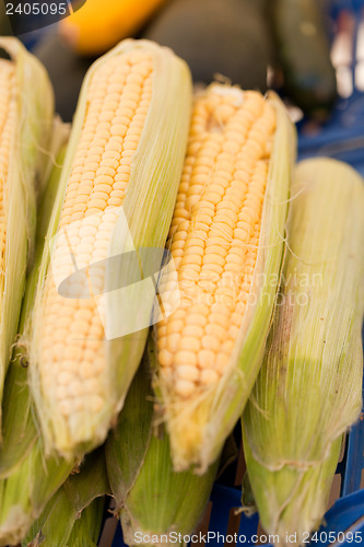 Image of fresh tasty corn macro closeup on market outdoor