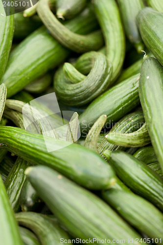 Image of fresh green cucumber on market macro