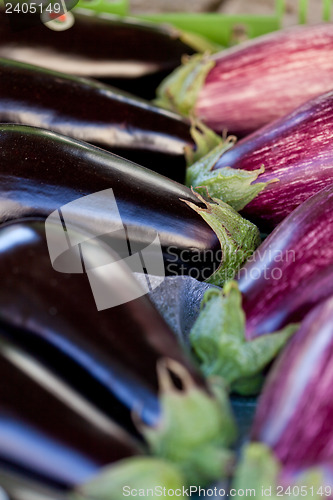 Image of fresh violet eggplant in summer outdoor on market 