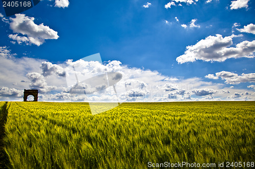 Image of Wheat Fields with ruin
