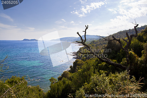 Image of Mediterranean Coast
