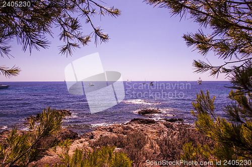 Image of Mediterranean Landscape