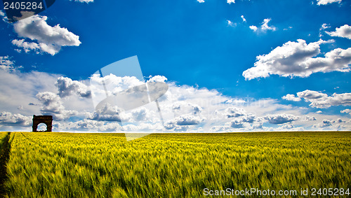 Image of Wheat Fields with ruin