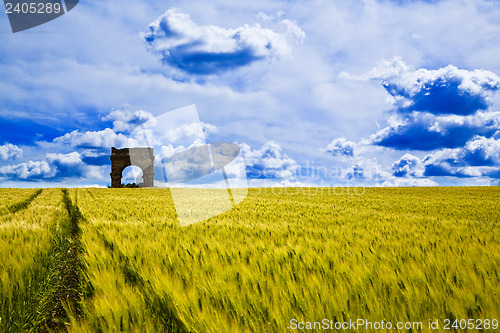 Image of Wheat Fields with ruin