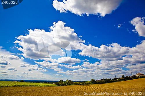 Image of Fields of Wheat