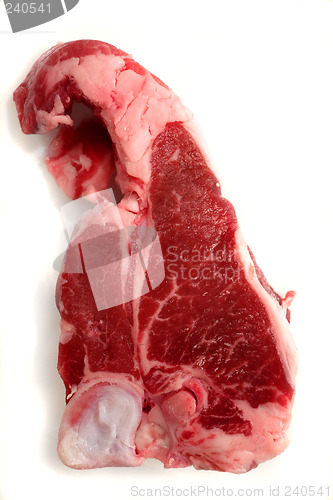 Image of Single lamb chop