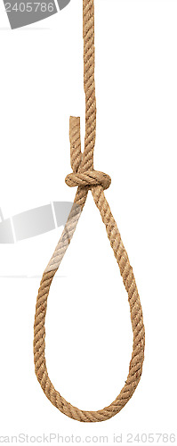 Image of loop knot