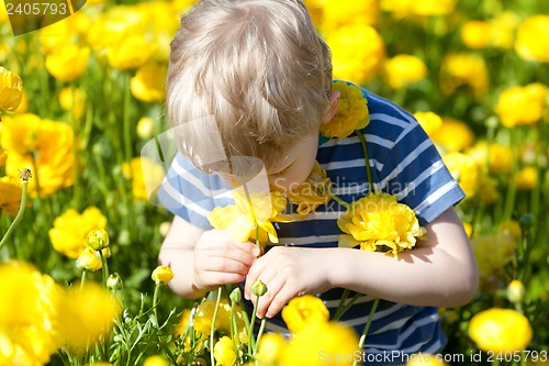 Image of child at the blooming field