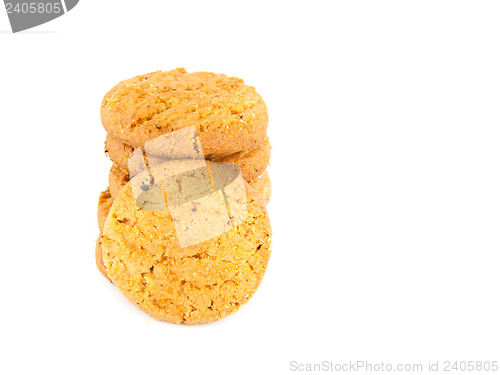 Image of Cookie
