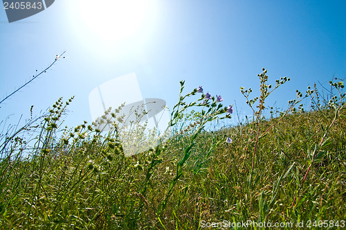 Image of sun above green meadow