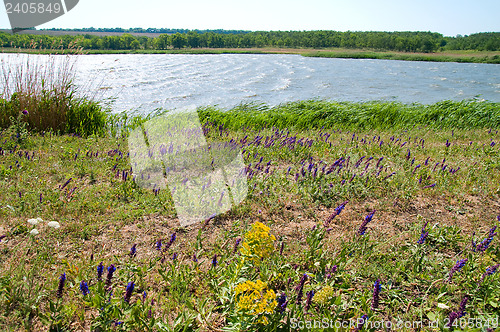 Image of lagoon of small lake