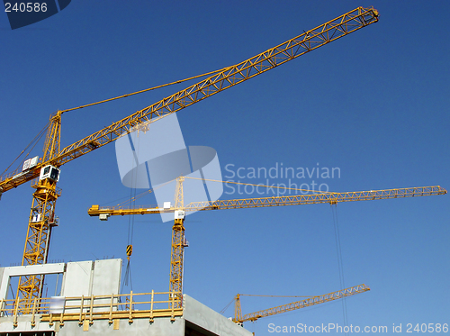 Image of three cranes against the blue sky