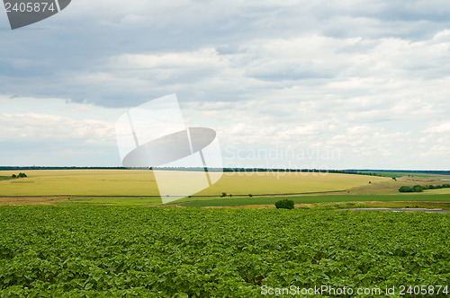 Image of view of rural locality with clouds in the background
