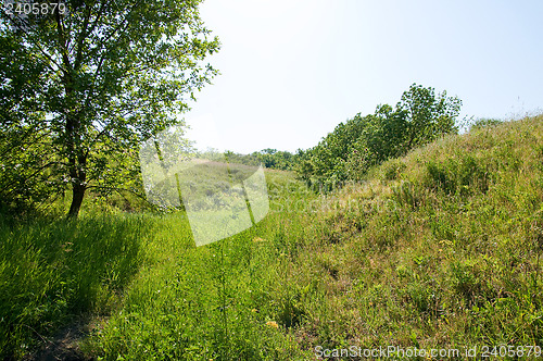 Image of Green grassland and sky