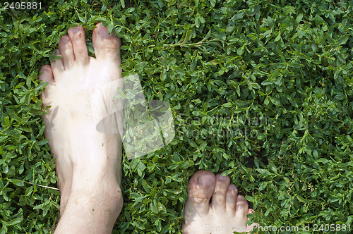 Image of barefooted on the green grass. after rain