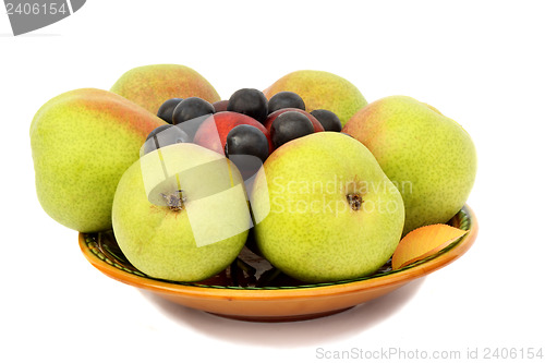 Image of Pears, plums and prunes on the plate on a white background.