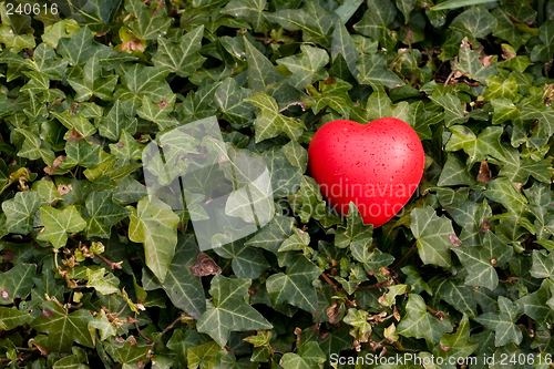 Image of red heart