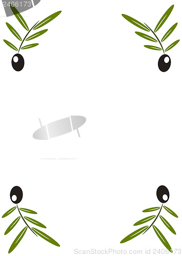 Image of Black olives on branch wallpaper