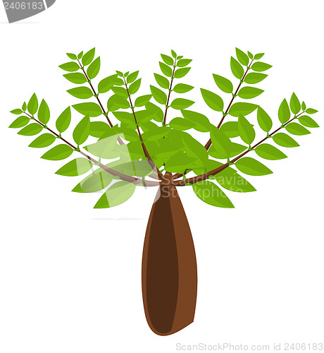 Image of Baobab tree illustration