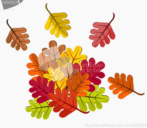 Image of Fallen leaves
