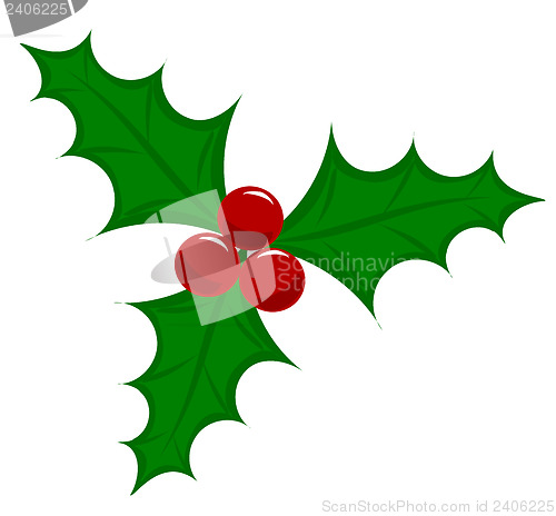 Image of Holly berry vector