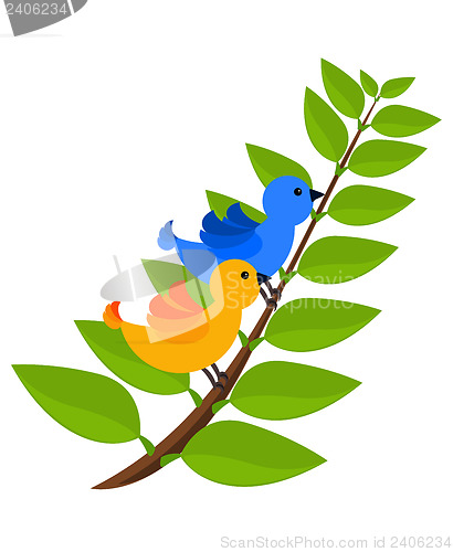 Image of Tropical two colorful birds