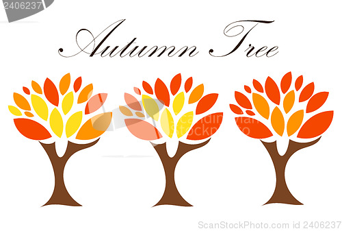 Image of Three autumn trees