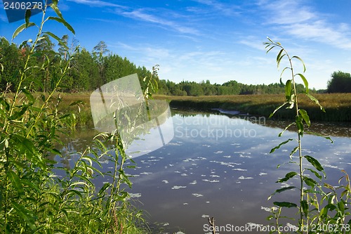 Image of Morning on the River.