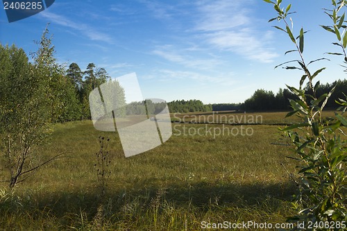 Image of woodland scenery.