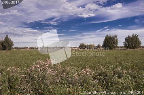 Image of landscape.