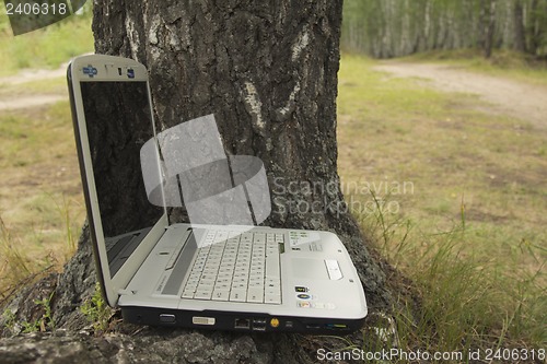 Image of A girl and a computer