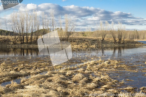 Image of Forest River