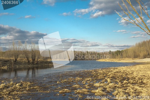 Image of Forest River