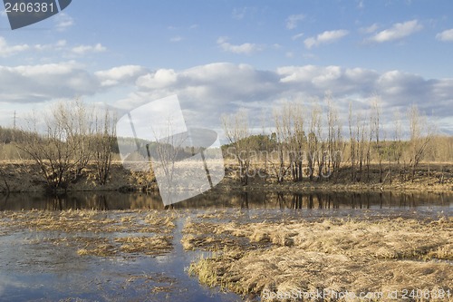 Image of Forest River