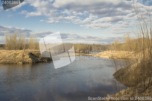 Image of Forest River