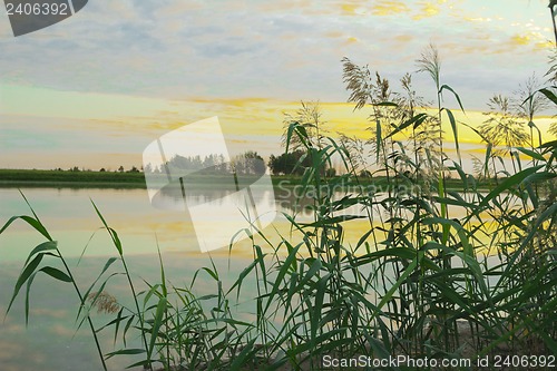Image of Morning on the River.