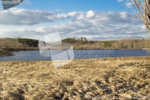 Image of Forest River