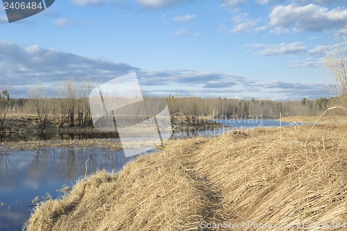 Image of Forest River