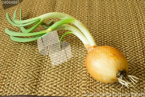 Image of Green onions on a straw napkin Green onions