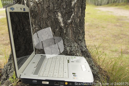 Image of A girl and a computer