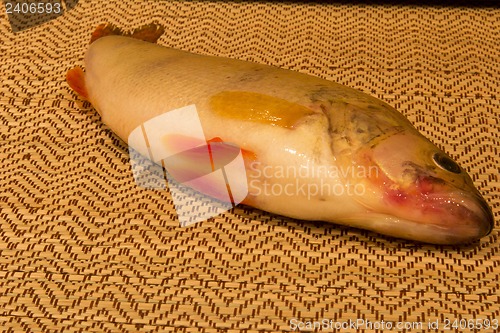 Image of isolated object.
