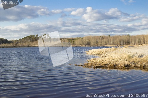 Image of Forest River