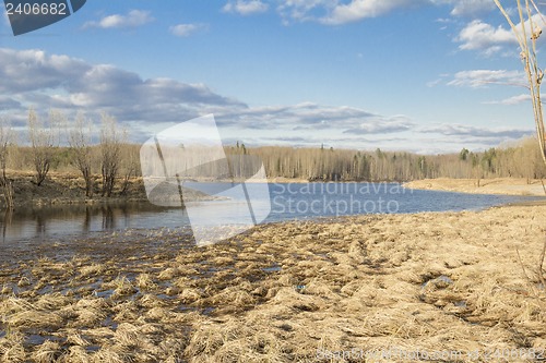 Image of Forest River