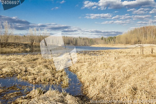 Image of Forest River