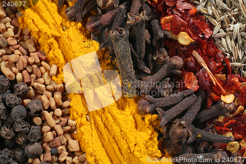 Image of Abstract curry spices