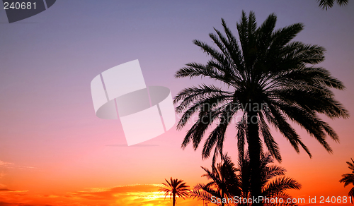 Image of Arabian sunset 2