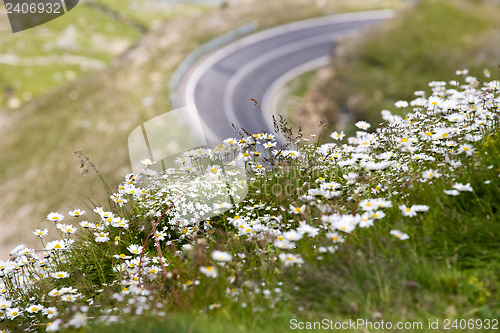 Image of Alpine highway