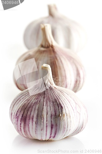 Image of Garlic on a white background