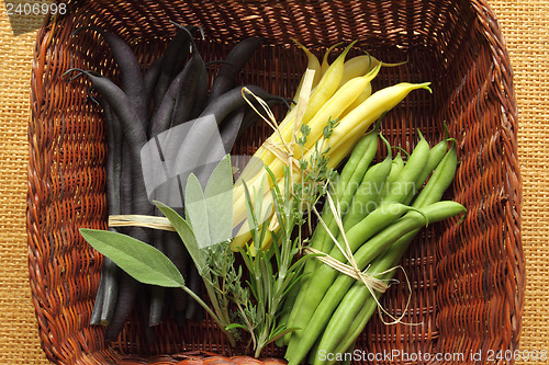 Image of Beans