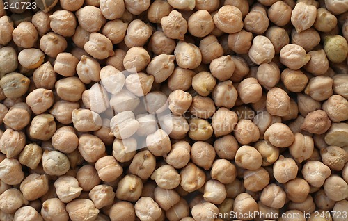 Image of Chickpea macro